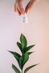 Hand holding glass dropper releasing a golden drop onto a vibrant green leaf, symbolizing organic skincare, botanical serum, natural hydration and sustainable beauty rituals