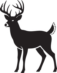 Obraz premium Black silhouette of a majestic white-tailed deer buck with large antlers standing on - stock vector.