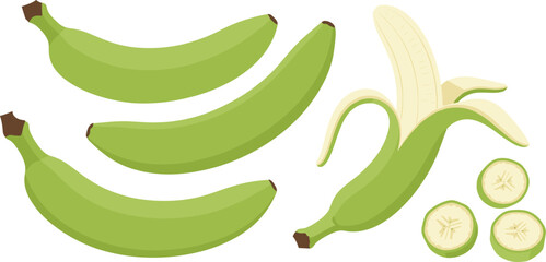 Flat vector illustration of fresh green bananas and plantains featuring whole fruit bunches a peeled fruit and sliced rounds for healthy organic cooking and educational designs. © Mun islam