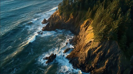 Aerial View of Rocky Coastline with Golden Sunlight Glancing off Sparkling Blue Water and Lush Green Trees Along the Shore