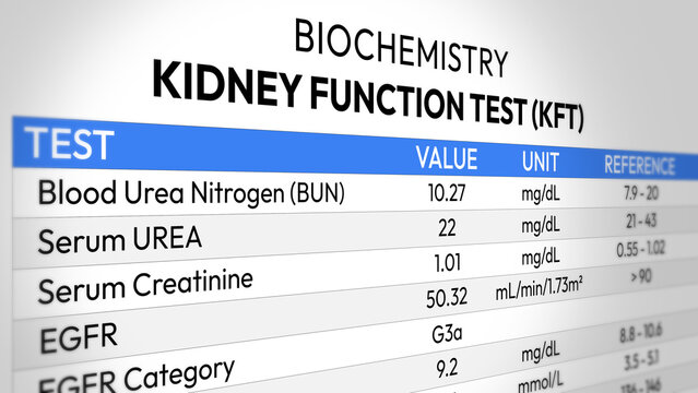 Kidney Function Test Report. Creatinine Urea Analysis, Renal Health Screening, Electrolyte Balance Assessment, GFR Evaluation, Diagnostic Monitoring Insights. Random KFT Test Report.2D Illustration