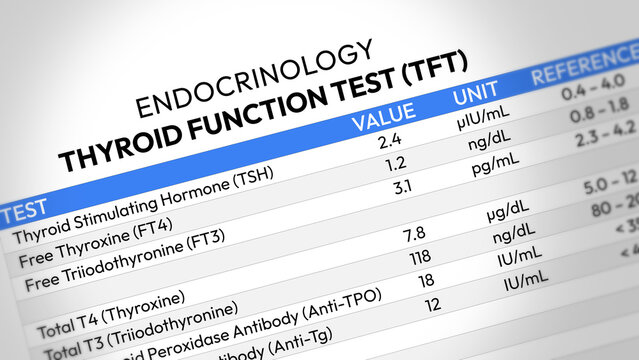 Thyroid Function Test Report. TSH, T3, T4 Hormone Analysis, Endocrine Health Screening, Metabolic Assessment, Diagnostic Evaluation, Clinical Monitoring. Random TFT Test Report. 2D Illustration