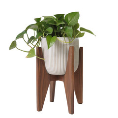 wooden chair with green leaves