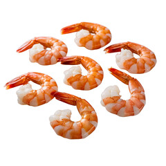 shrimps on white background