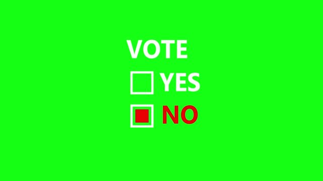 Yes vote and No vote Button Icons Set with Tick and Cross Symbols animation with alpha channel. Tick or check mark and cross mark signs . 