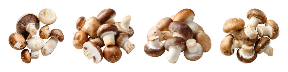 Fresh brown mushroom collection isolated on transparent background
