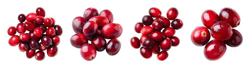 Fresh cranberry clusters arranged in various compositions isolated on transparent background