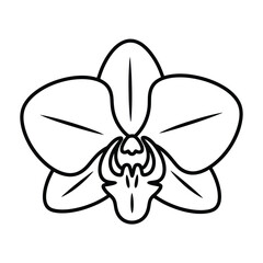 Simple black and white line drawing of a single orchid flower in bloom
