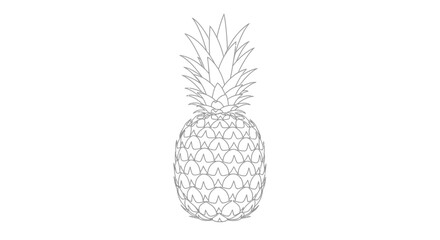 Obraz premium pineapple illustration