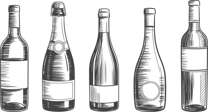 Set of hand drawn wine and champagne bottle vectors, sketch style isolated on white background for design