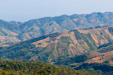 Fototapeta premium Beautiful panoramic view green forest mountain range Phu Thok Park in Phu lom lo National Park Loei province, Thailand, blue sky background texture