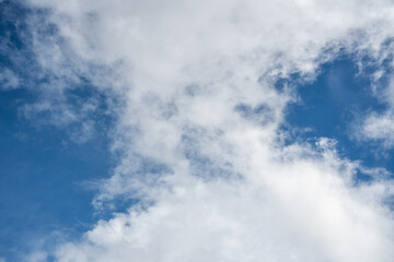 Obraz premium Bright white cumulus clouds spread across a clear blue sky