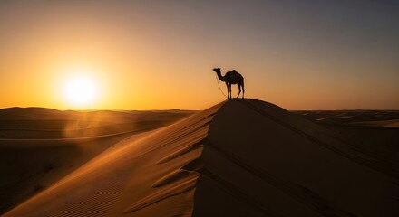 Camel silhouette on desert dune at beautiful golden sunset