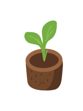 peat pellet with seedling vector illustration full view