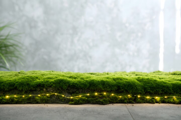 A lush green landscape features a path