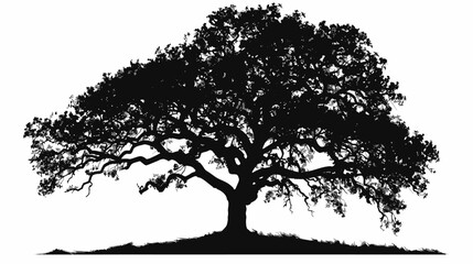 Fototapeta premium Silhouette of a large oak tree against a white backdrop isolated vector illustration