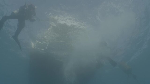 log footage of scuba divers jump to the sea from boat underwater shot