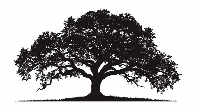 Silhouette of a majestic oak tree isolated on a white background
