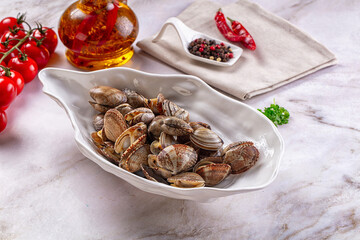 Steamed vongole clams with spices © Andrei Starostin