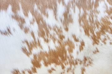 Close up abstract texture of brown and white wool surface with natural organic pattern and soft background for rustic design concept. © elenavolf