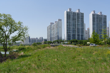 High Rise Apartment Buildings Near Riverside Green Area © ahunism