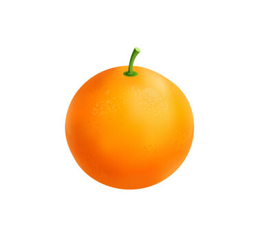 Fresh Orange Isolated on Light Background