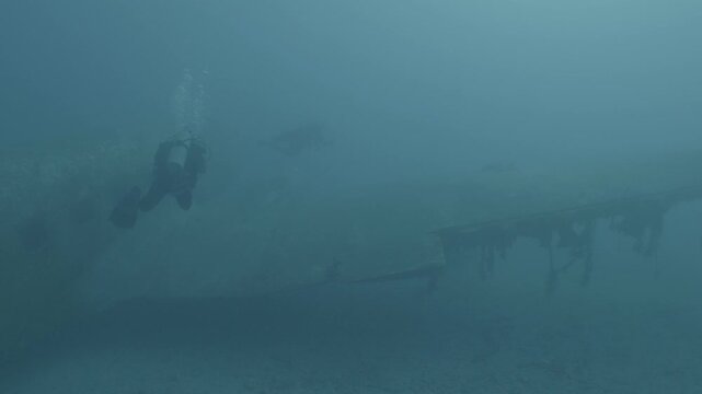 log footage of scuba divers are exploring a c47 dakota airplane wreck underwater 