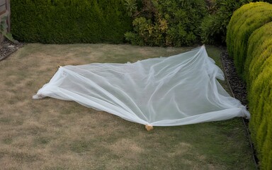 Protective garden mesh covering plants in outdoor landscape