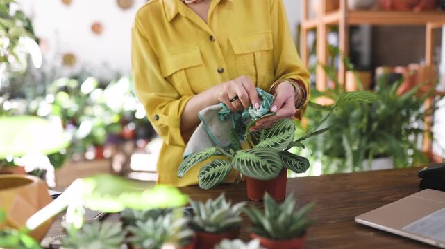 A woman in a yellow shirt is shown tending to a potted plant on a wooden table, surrounded by other plants