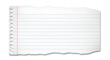 Torn piece of lined notebook paper with holes and red margin line visible closely