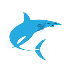 Fototapeta premium shark vector illustration