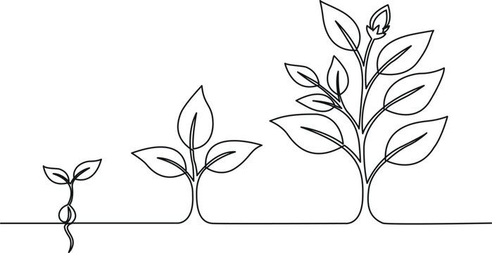 Line art illustration depicting the stages of plant growth from seed