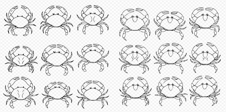 Set of outline crab illustrations, perfect for seafood menus or marine-themed designs.