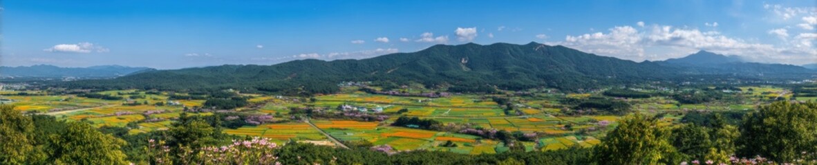 Obraz premium Colorful blooming rapeseed fields and cherry blossoms stretching across a scenic rural valley landscape for springtime travel advertising and tourism background