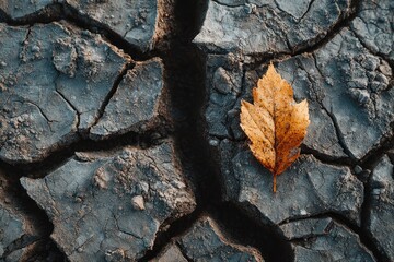 Authentic Dry Autumn Leaf on Cracked Earth, Drought and Climate Change Metaphor, geometric lines