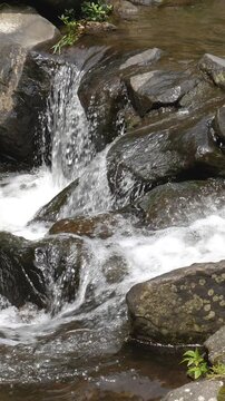Peaceful mountain stream captured with realistic motion and clear water detail. Suitable for Vertical meditation apps, tourism marketing, and creative background media.