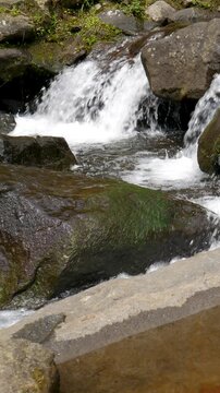 Forest river flowing gently through green surroundings with fresh perspective. Works as Vertical background for spa advertising and calming brand content.