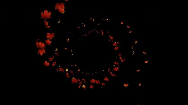 Fall leaves autumn particle loop