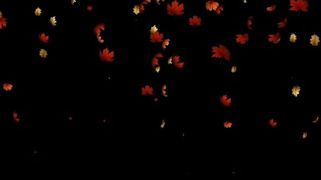 Fall leaves autumn particle loop