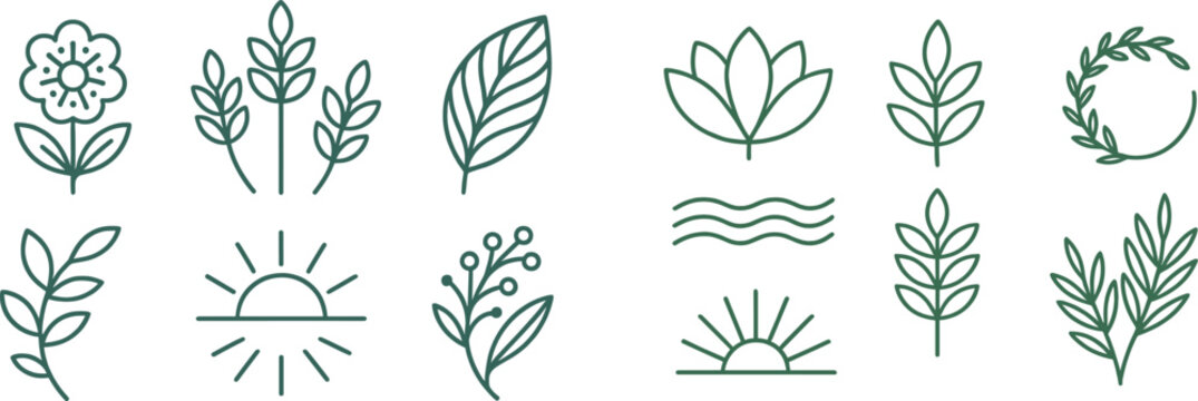 A collection of botanical drawings showcasing diverse flowers, leaves, and a sun motif, all rendered in a minimalist line art style. This set evokes a natural and serene aesthetic.