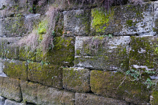 Steinmauer mit Moos