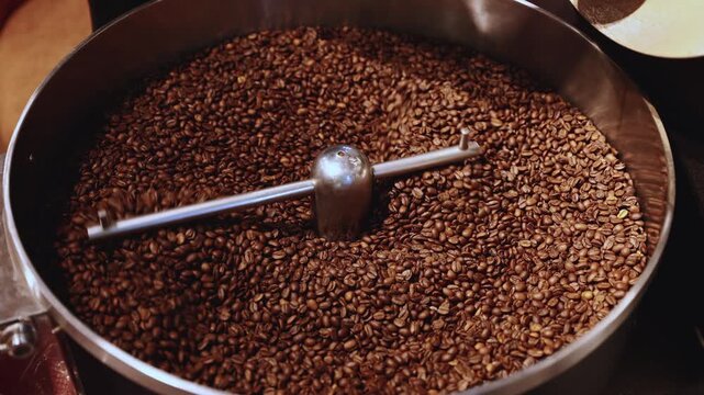Rotating metal arm stirring freshly roasted coffee beans in commercial roaster drum in specialty roastery for production and quality control.