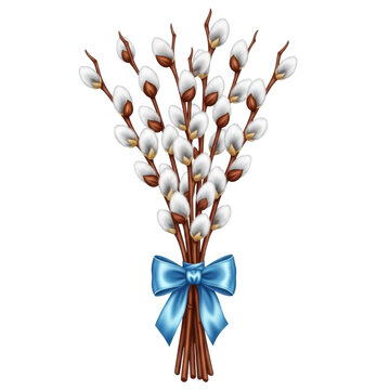 Spring pussy willow twigs with soft catkins arranged in a bundle and tied with a decorative blue satin bow, isolated on white background as a symbol of Palm Sunday and Easter