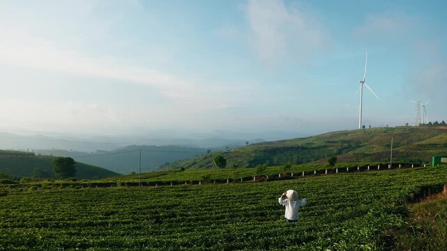 Woman tourist in traditional conical hat in lush tea plantation with wind turbine in Da lat, Traditional tour in Vietnam..