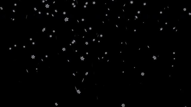 Fall leaves winter snow particle loop