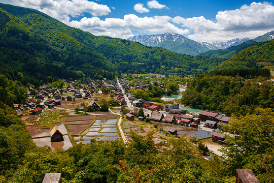 Historic Japanese village Shirakawa-go in summer with traditional gassho-zukuri houses, steep thatched roofs and green mountain landscape