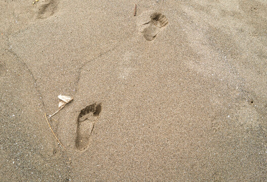 Detailed human footprints are impressed into the golden beach sand showing natural textures, shadows and step patterns in the warm sunlight.