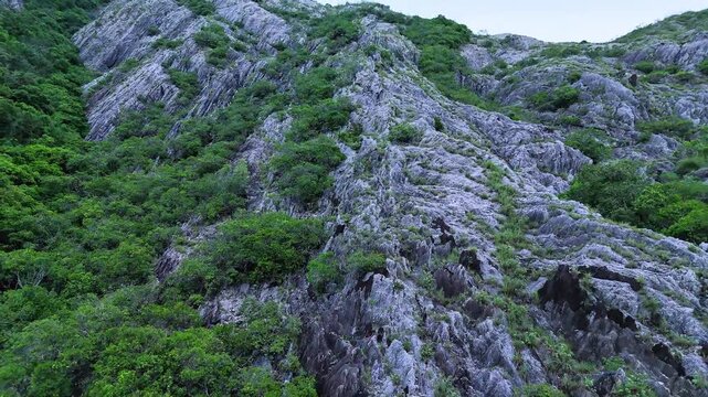 Aerial Drone View of Rose Quartz Mountain Surrounded by Ironwood Trees
