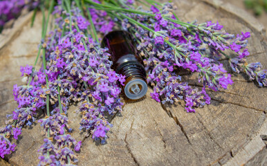 Lavender essential oil bottle on wooden stump with fresh flowers