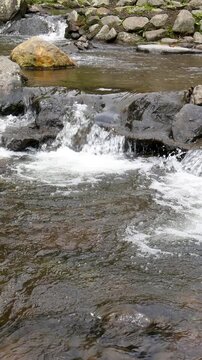 Mountain stream with smooth rhythm and authentic outdoor perspective. Works well for Vertical mobile content, travel promos, and scenic marketing visuals.